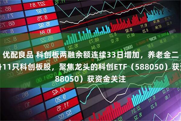 优配良品 科创板两融余额连续33日增加，养老金二季度现身11只科创板股，聚焦龙头的科创ETF（588050）获资金关注