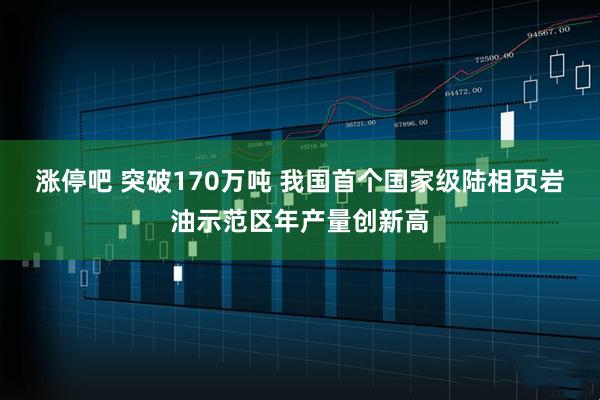 涨停吧 突破170万吨 我国首个国家级陆相页岩油示范区年产量创新高