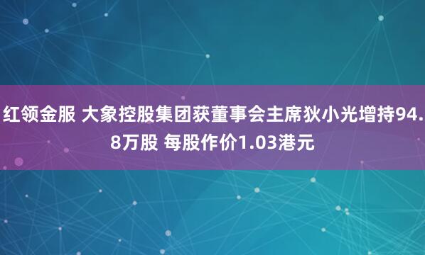 红领金服 大象控股集团获董事会主席狄小光增持94.8万股 每股作价1.03港元
