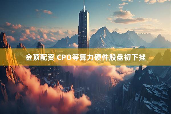 金顶配资 CPO等算力硬件股盘初下挫